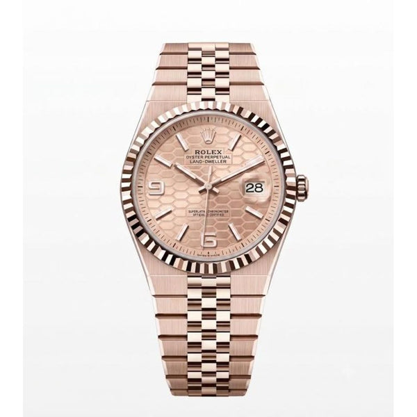 RollexLand-Dweller Automatic Full Rose Gold