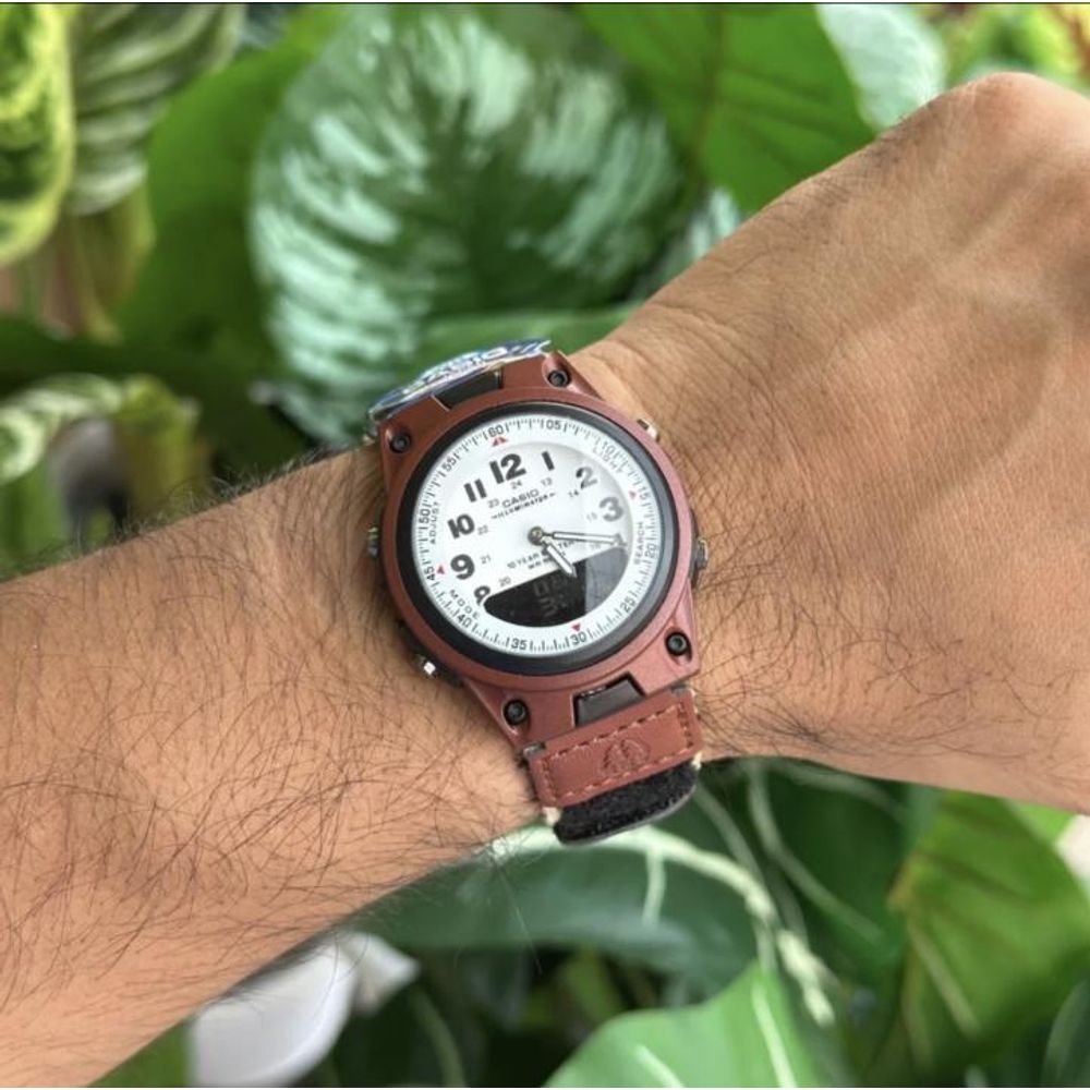 CASIO AW-80-1AVDF