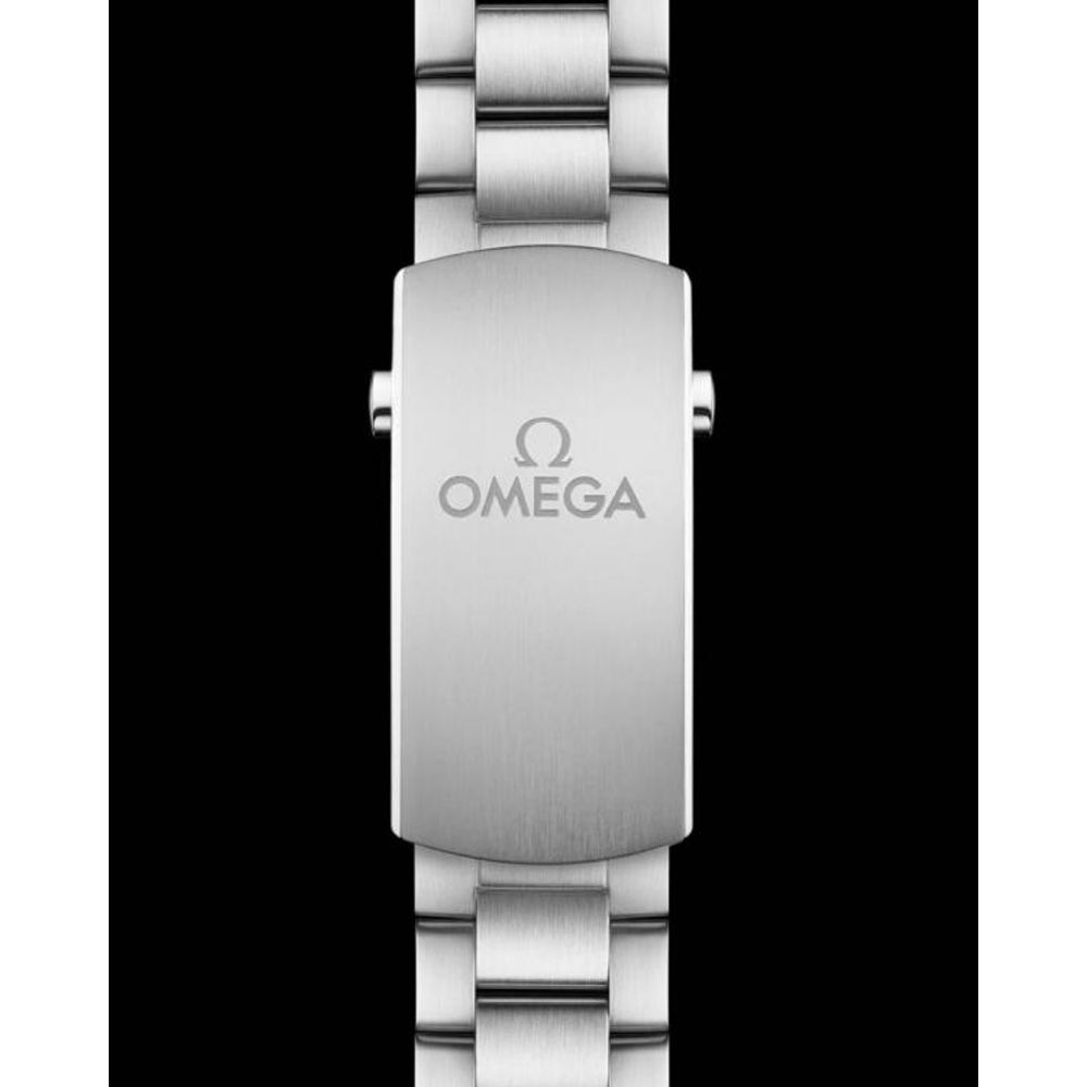 Omegg_a Seamaster Planet Ocean 600M silver Black