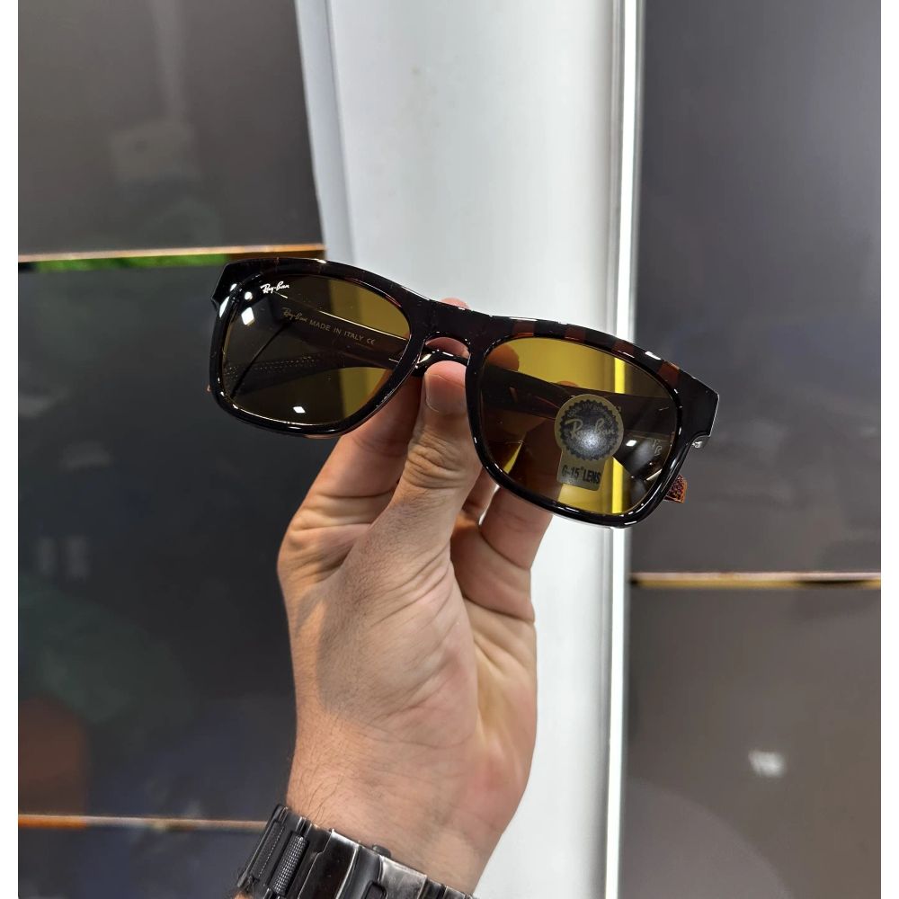 RayBan All Brown Premium Shades 8283