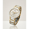 Radd_o centrix chronograph 2 ton White-gold