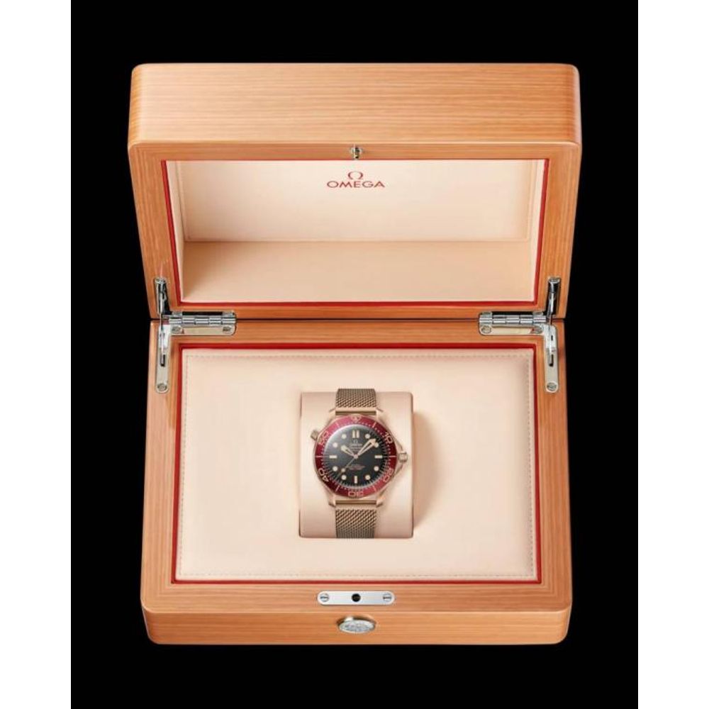 Omegg_a Seamaster Diver 300M Automatic copper