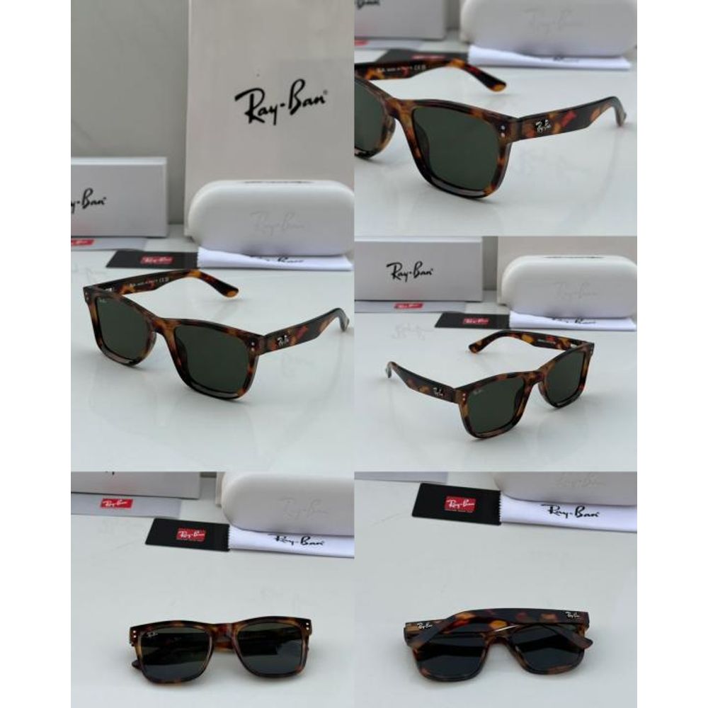 REY BAN SUNGLASS Z-731