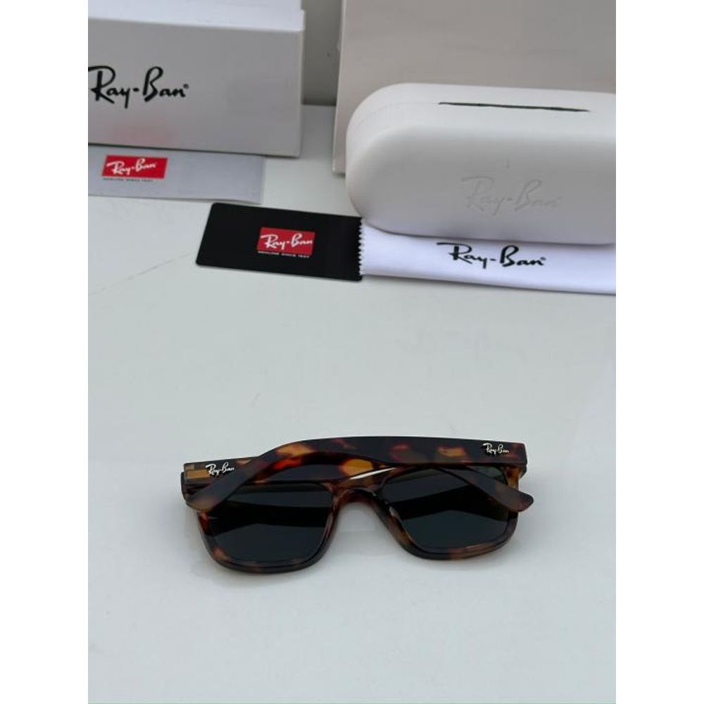 REY BAN SUNGLASS Z-731