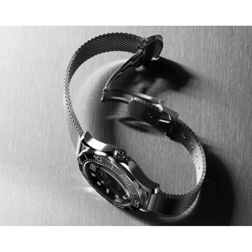 Omegg_a Seamaster Diver 300 Automatic silver Black white niddle