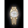 ROLE OYSTER PERPETUAL DAY DATE ZR GOLD WHITE DIAL HVY 47