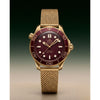 Omegha seamaster diver 300M automatic gold