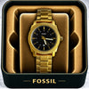 Fossiil Premium Men Watch
