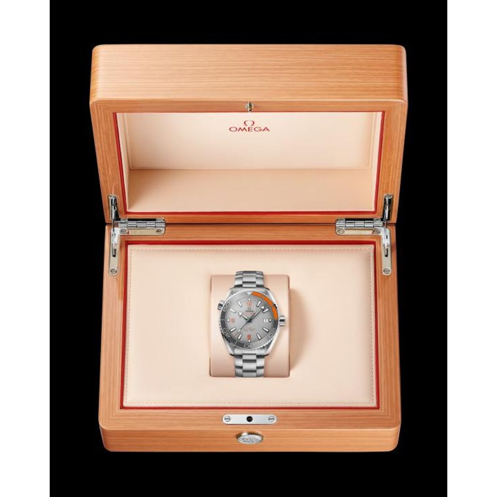 Omegg_a Seamaster Planet Ocean 600M silver gray