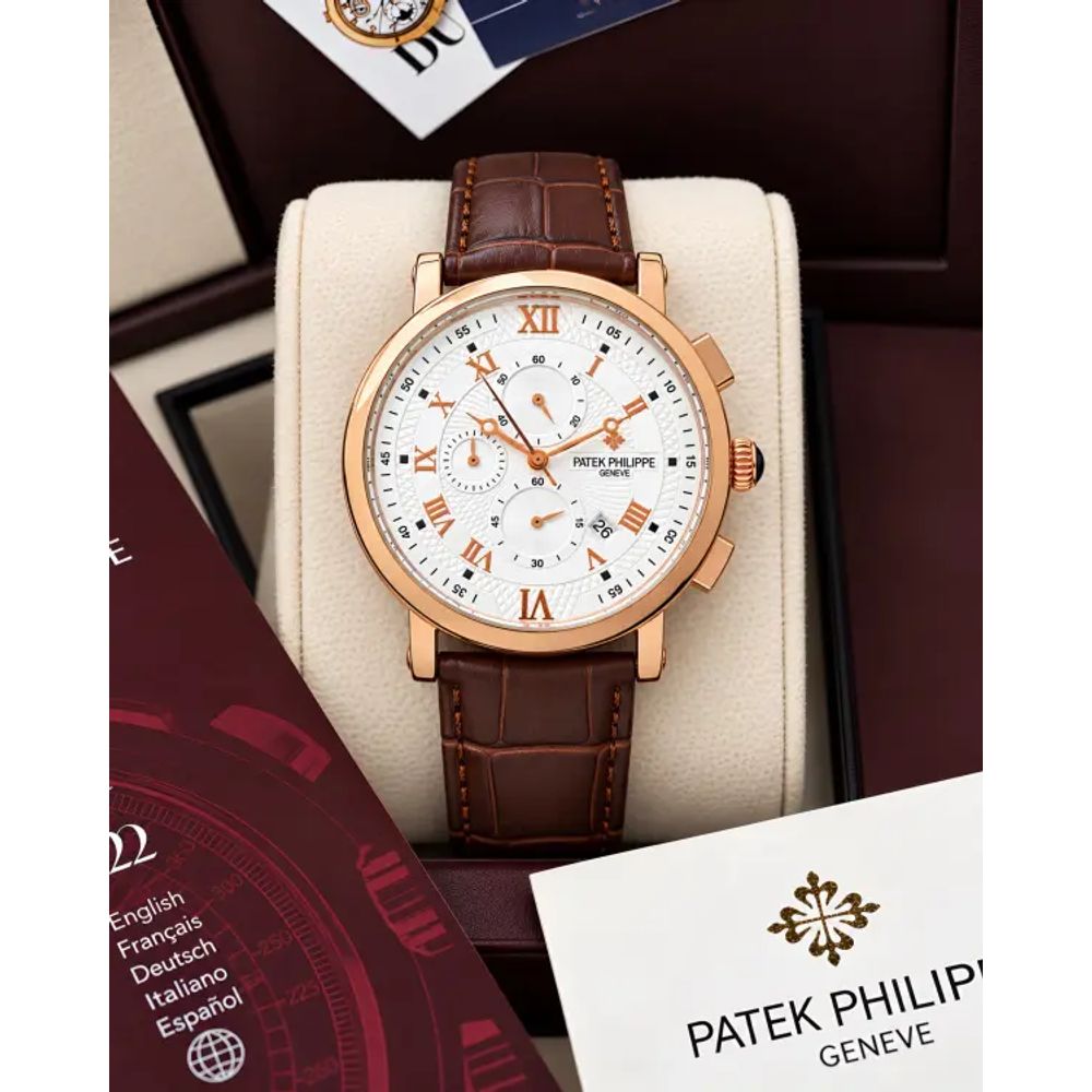 Patek Philipe_e Complication Official Article