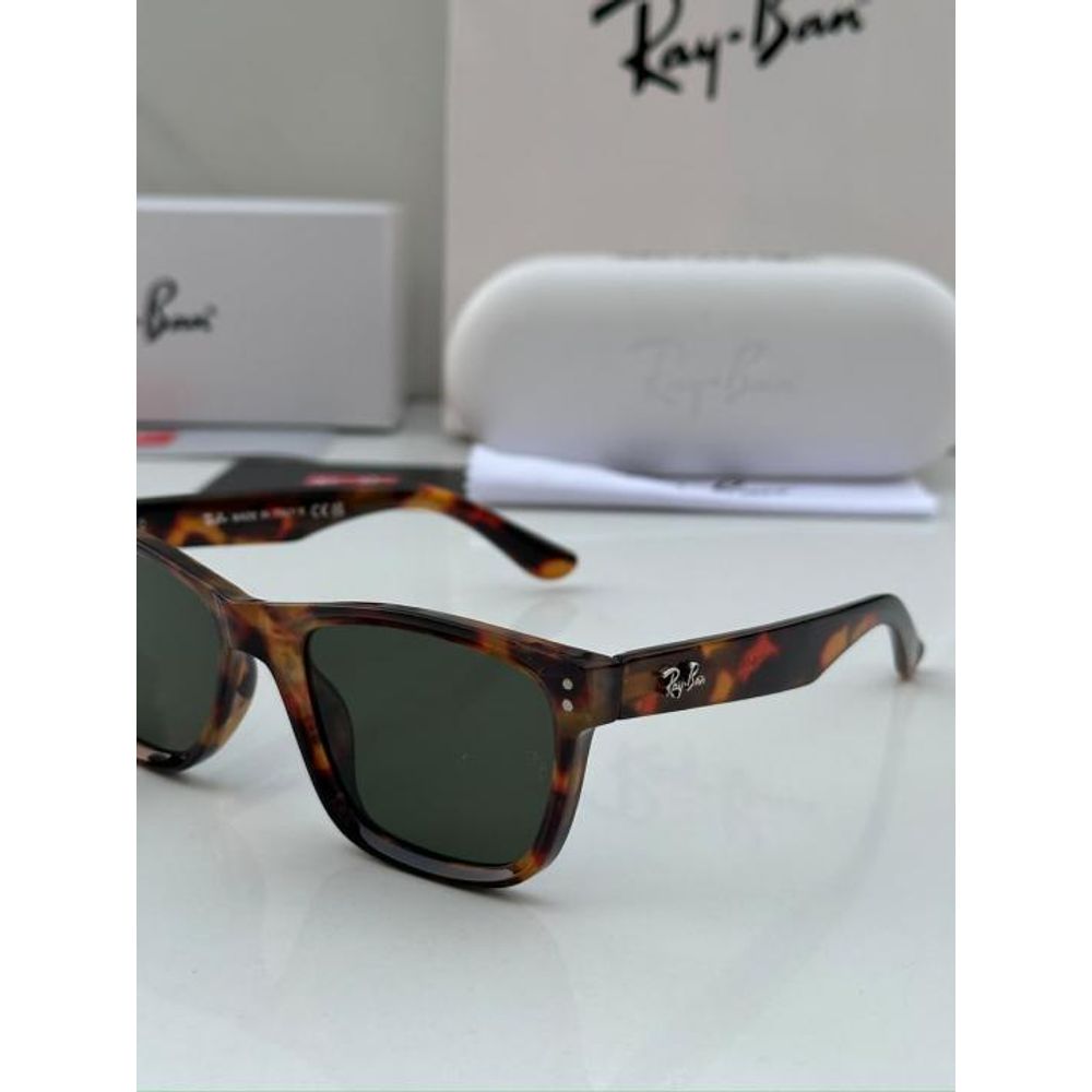 REY BAN SUNGLASS Z-731