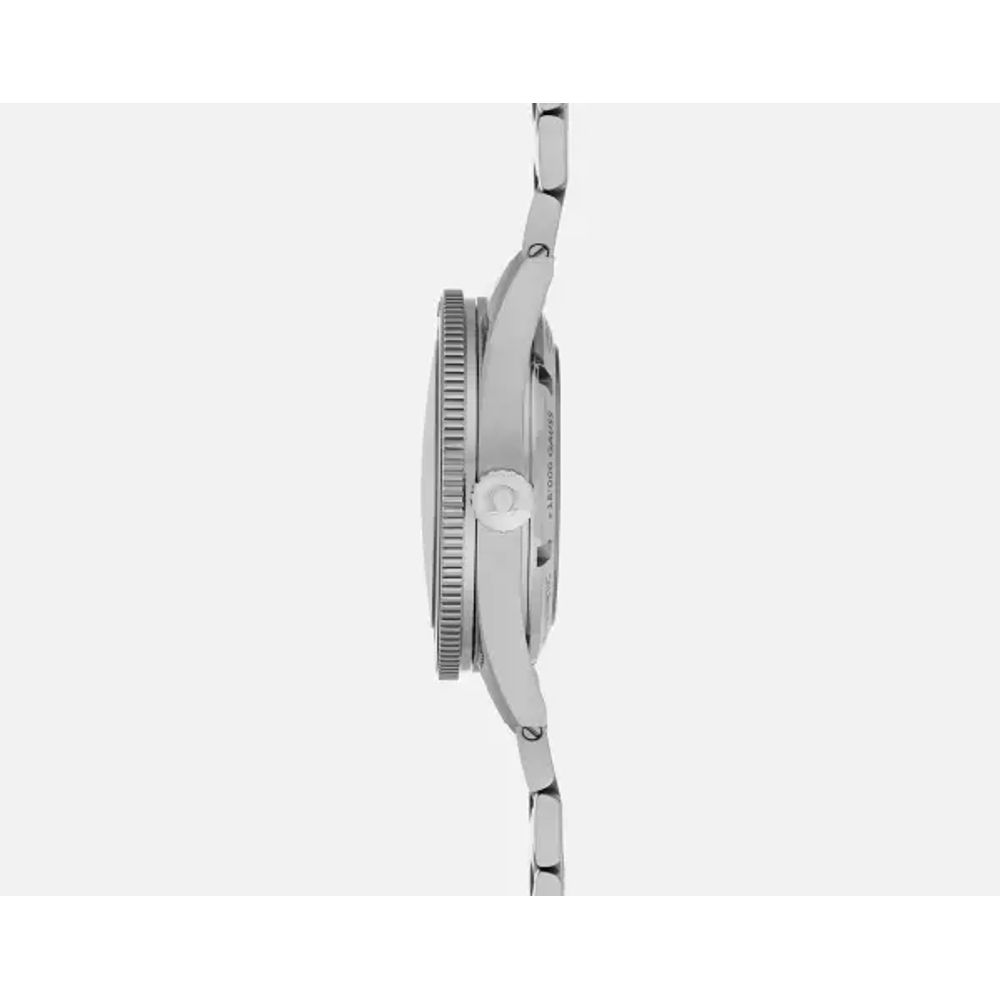 Omeg_ga Seamaster 300 Co-Axial Master Chronometer silver Black