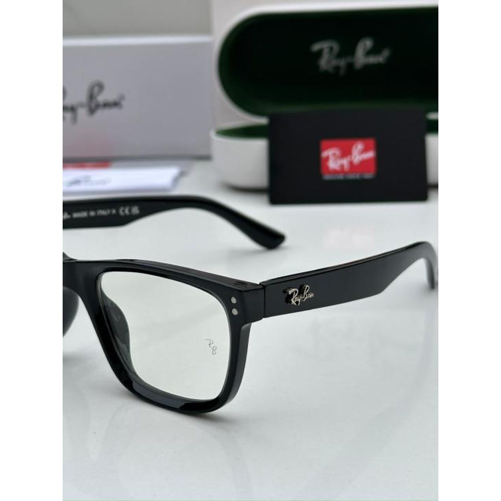 RAYBA_AN SUNGLASS Z-704