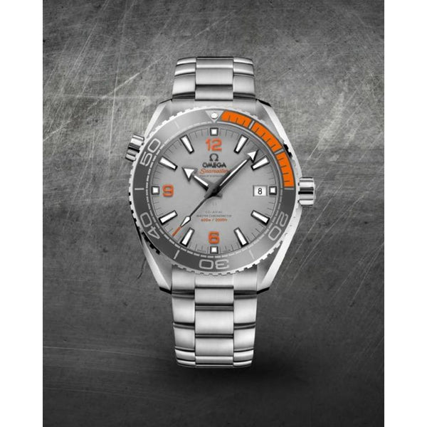 Omegg_a Seamaster Planet Ocean 600M silver gray