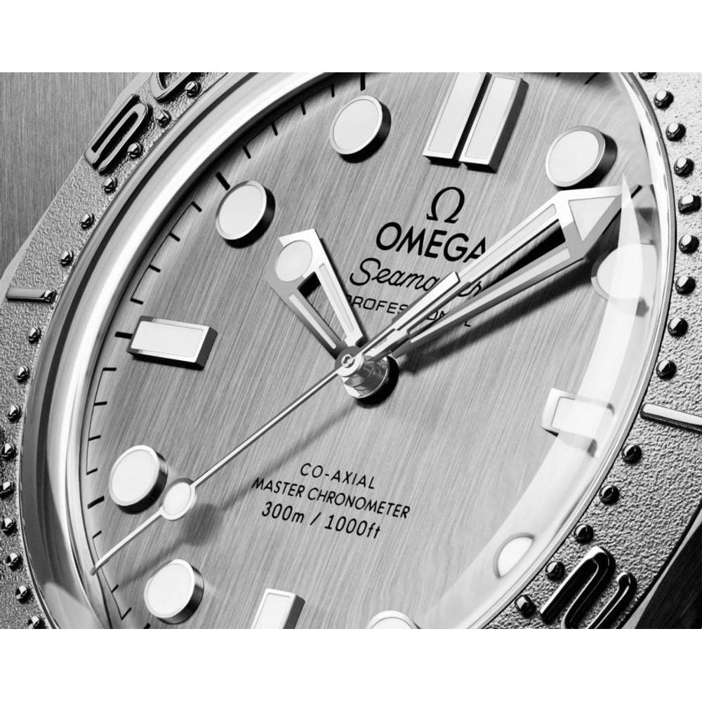 Omegg_a Seamaster Diver 300 Automatic silver gray