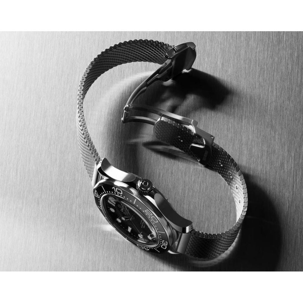 Omegg_a Seamaster Diver 300 Automatic silver Black white niddle
