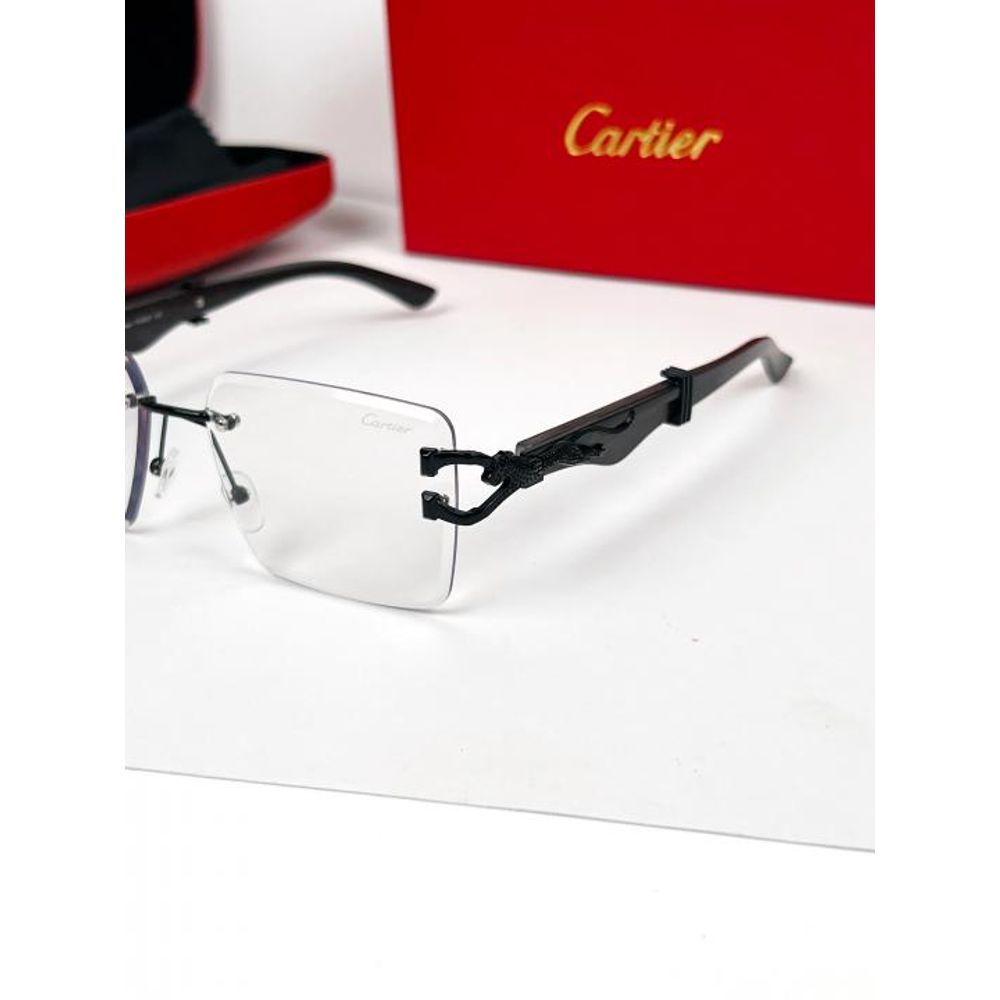 CARTIE_ER FRAM Z-684