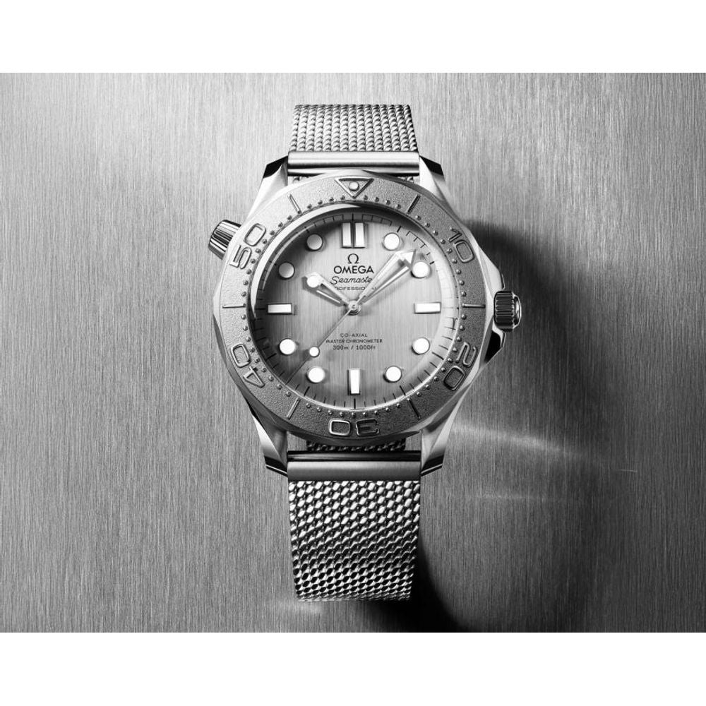 Omegg_a Seamaster Diver 300 Automatic silver gray