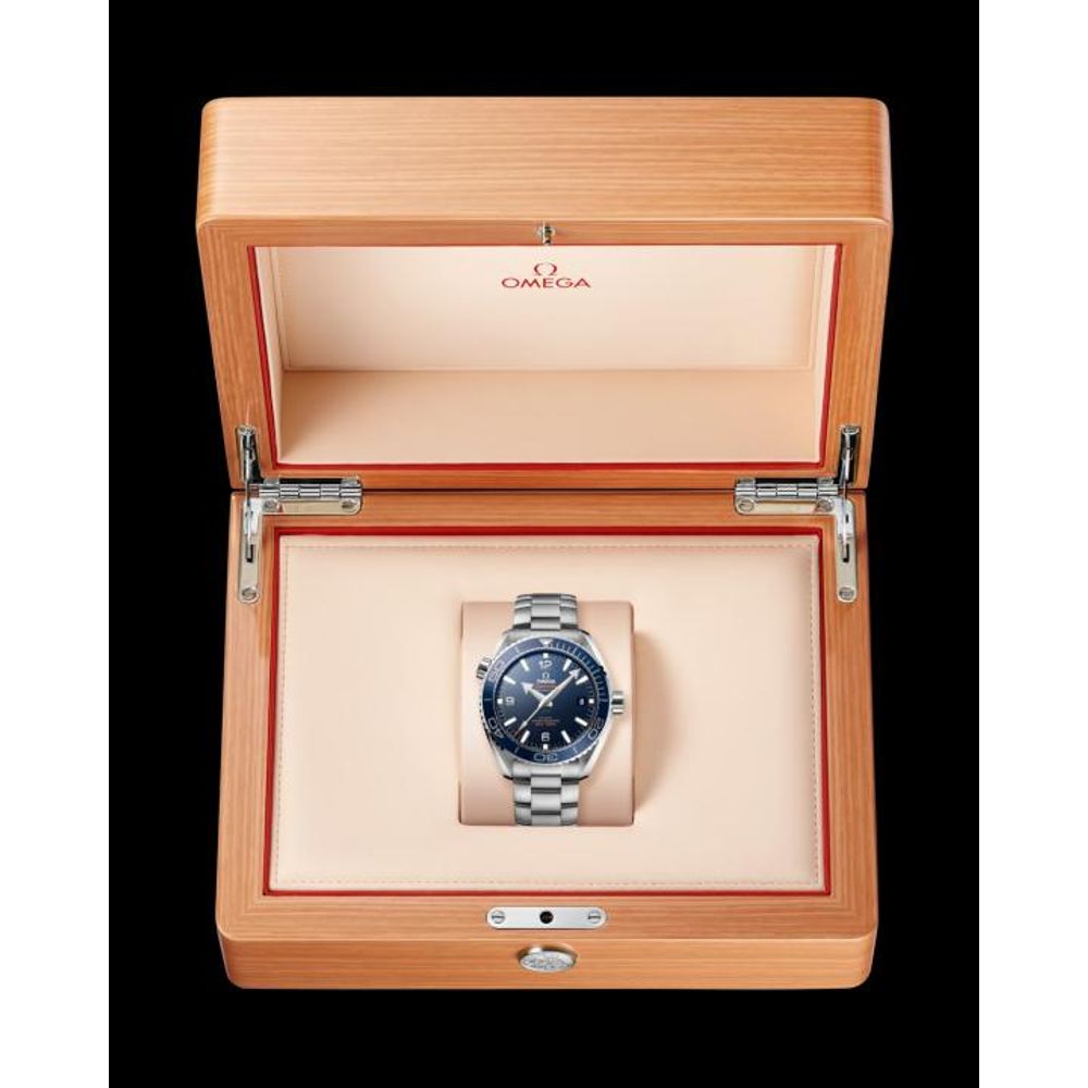 Omegg_a Seamaster Planet Ocean 600M silver blue