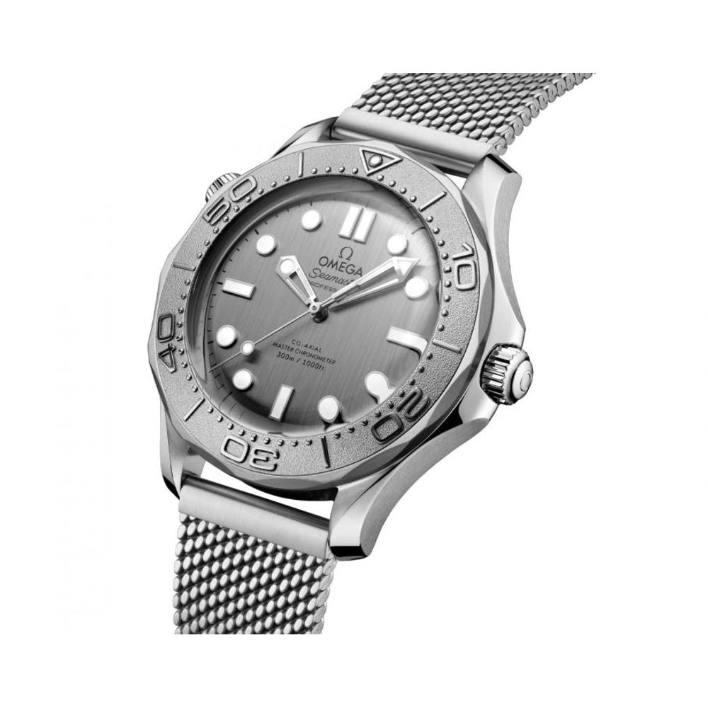 Omegg_a Seamaster Diver 300 Automatic silver gray