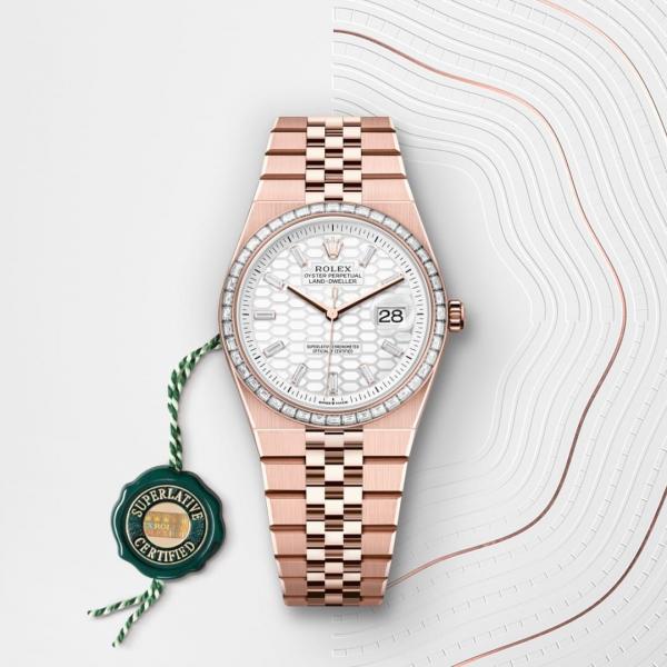 Rolee_x Oyster Perpetual Land Dweller