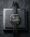 Casio AE-1200 Illuminator