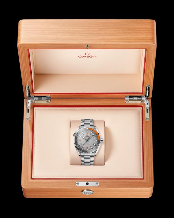 Omegg_a Seamaster Planet Ocean 600M silver gray