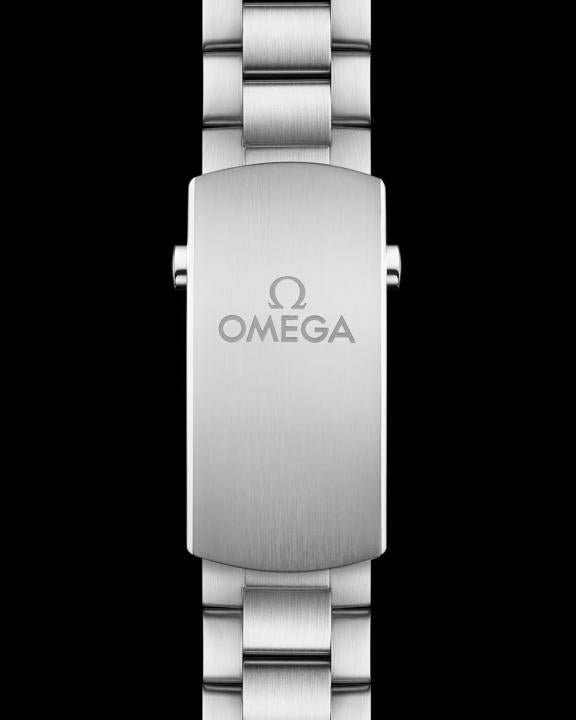 Omegg_a Seamaster Planet Ocean 600M silver blue