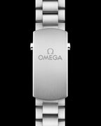 Omegg_a Seamaster Planet Ocean 600M
