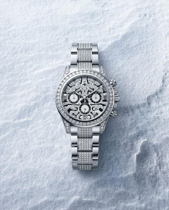 Rolee_x Oyster Perpetual Tiger Silver