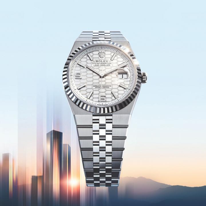 Roleee_x Oyster Perpetual Land Dweller
