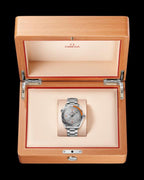 Omegg_a Seamaster Planet Ocean 600M
