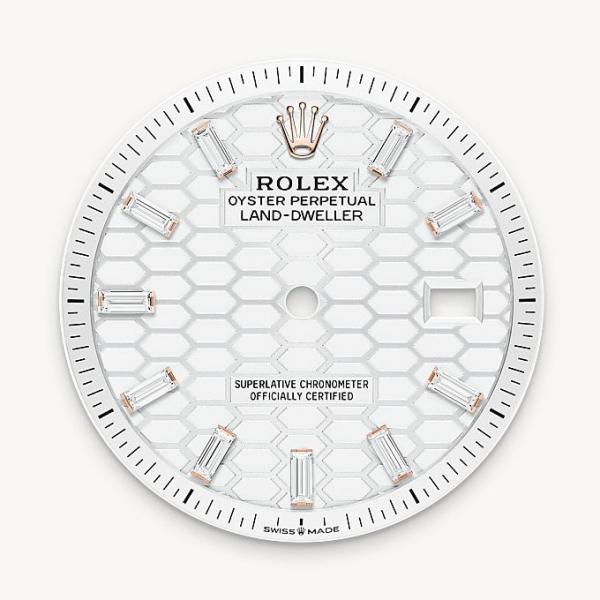 Rolee_x Oyster Perpetual Land Dweller