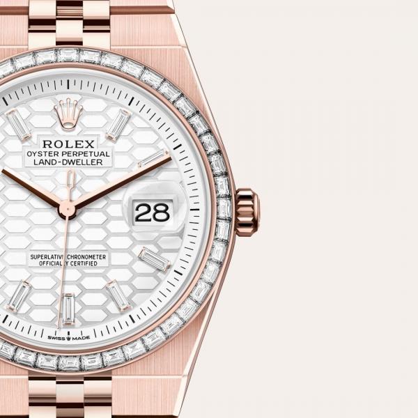 Rolee_x Oyster Perpetual Land Dweller