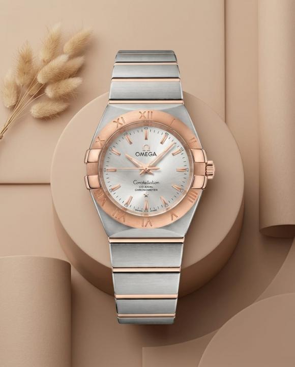 Omegg_a Constellation Sedna 2Ton-Copper-Grey Womens