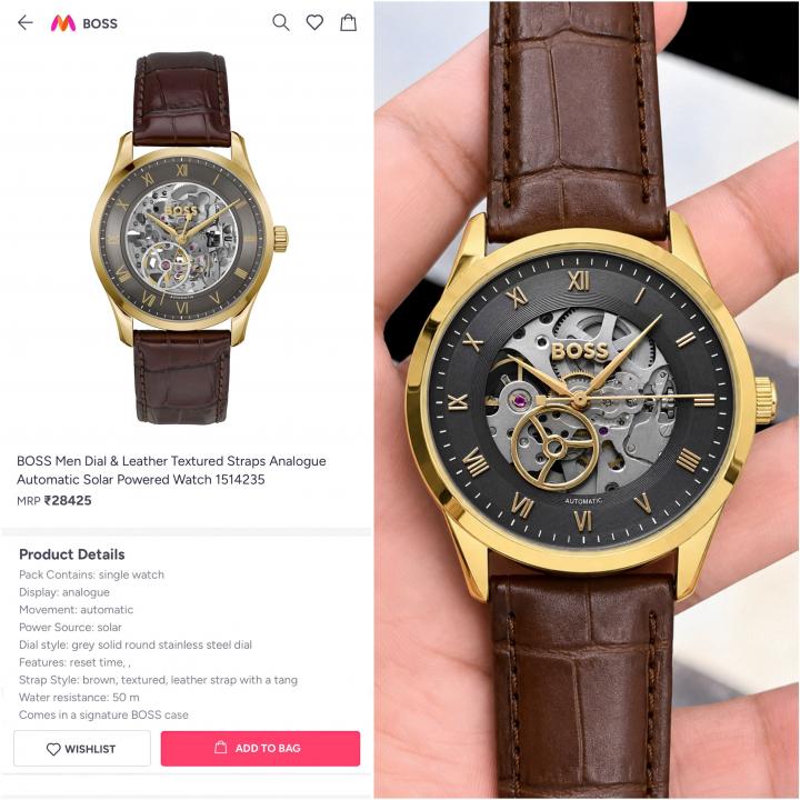 BOSS Principle Skeleton Mens Automatic Brown gold